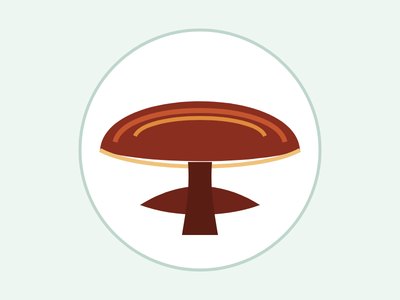 Ganoderma lucidum