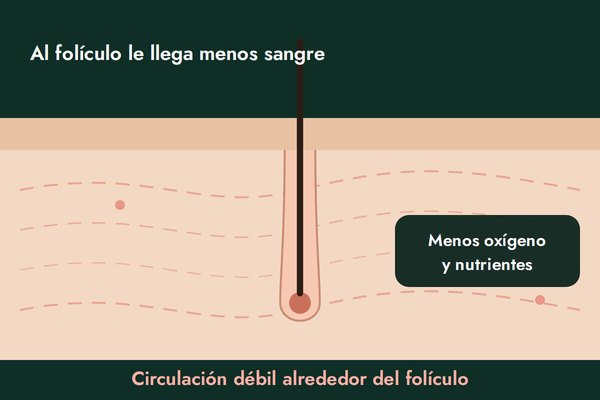 Llega menos sangre